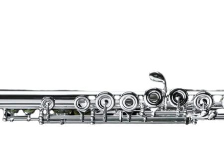 Di Zhao DZ801BEFC#D#9KGS Professional Flute, Split E, C# Trill, D# Roller, 9K GS Lip Plate For Discount