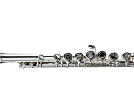 Di Zhao DZ401BOF Step-Up Flute, Open Hole, Sterling Lip-Plate & Riser Cheap