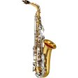 Student Alto Saxophone Fashion