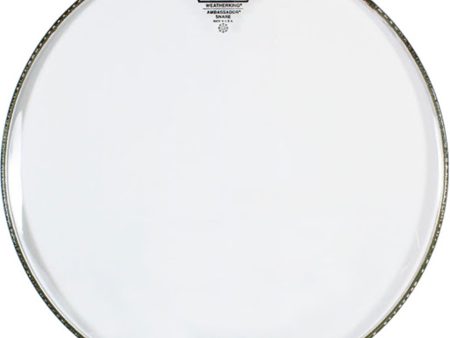 REMO SA0314TD 14  Ambassador Clear Marching Snare Side Head No Collar Online now