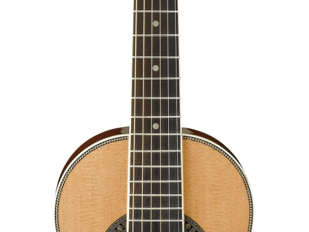 Ibanez PN1NT Parlor Size Acoustic Guitar (Gloss Natural) For Discount