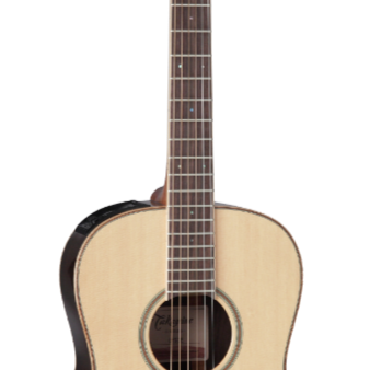 Takamine TAKGY93ENAT G Series New Yorker A E Guitar (Natural) For Sale