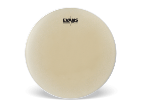 EVANS EST29 29  Strata Timpani Head For Cheap