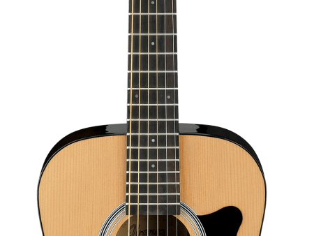 Ibanez IJV30 3 4 Size Acoustic Guitar Starter Pack (Natural Spruce) Hot on Sale