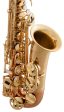 SELMER SAS411C Step Up Intermediate Alto Sax, Copper Brass Body & Keys Sale