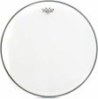 REMO BR123600 36  Ambassador Smooth White Head Online Sale