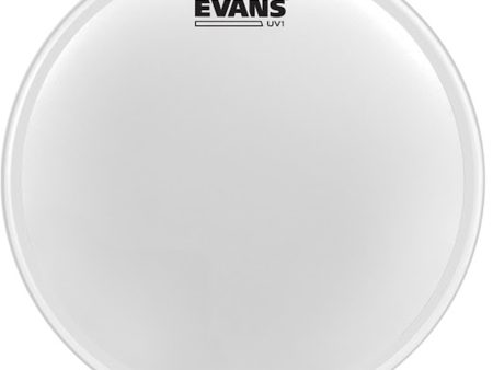 EVANS B10UV1 10  UV1 Coated Head For Discount