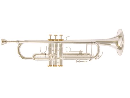 F. Schmidt A180SDLX Pro Silver Trumpet Sale