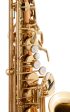 SELMER SAS411C Step Up Intermediate Alto Sax, Copper Brass Body & Keys Sale