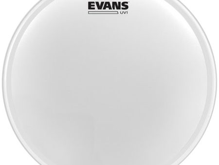 EVANS B12UV1 12  UV1 Coated Head For Sale