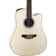 Takamine TAKGD37CE12PW G Series 12 String Dread A E Guitar (Pearl White) on Sale