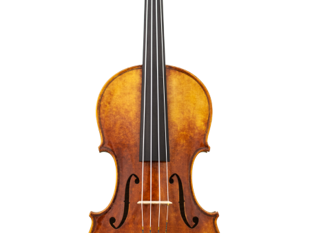 MAPLE LEAF MLS505VA16 16  Lord Wilton Craftsman Collection Viola Outfit Online now